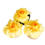 Jonquil Cupcakes - Set (6)