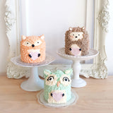 Fox & Friends Cakes