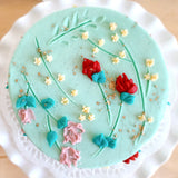 Mary - Turquoise