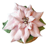 Poinsettia Mini Cake - Pink