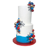 Spider Boy 2-Tier Cake