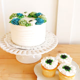 Anemones Cupcakes - Set (6)