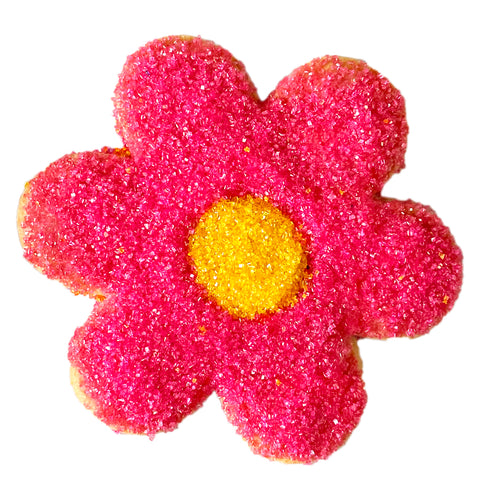 Sugar Decorated Cutout Cookie - Daisy