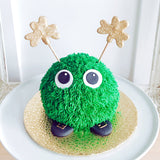 Lucky Bug Cake