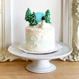 Snow Globe Cake - The Home Bakery