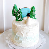 Snow Globe Cake - The Home Bakery